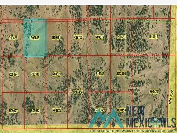 10 Acres of Land for Sale in Pinehill, New Mexico