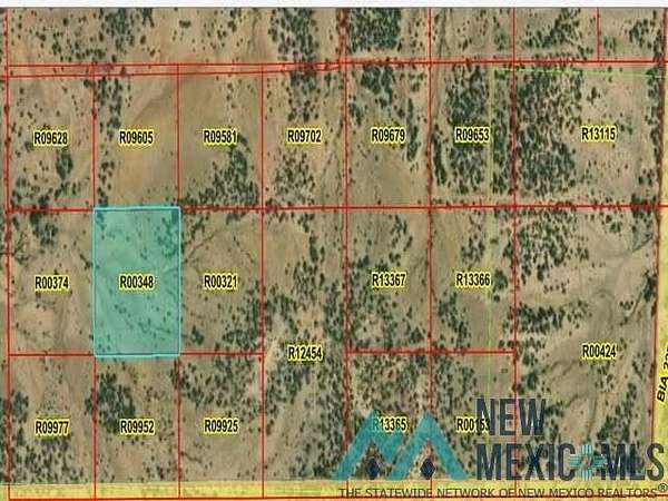 10 Acres of Land for Sale in Pinehill, New Mexico