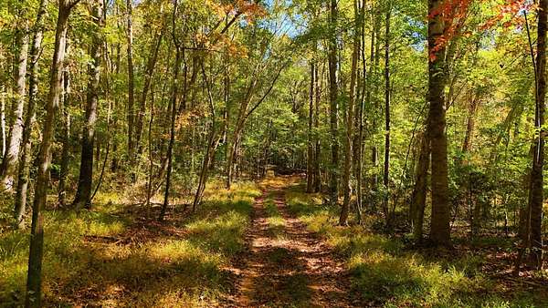86.7 Acres of Recreational & Residential Land for Sale in Anderson, South Carolina