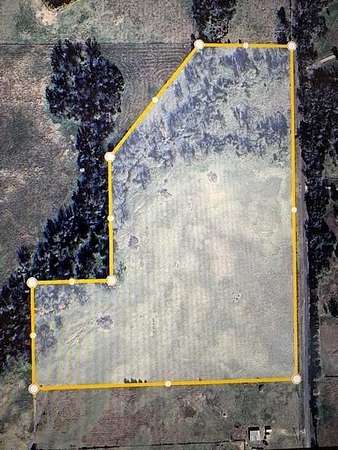 19 Acres of Land for Sale in Brashear, Texas