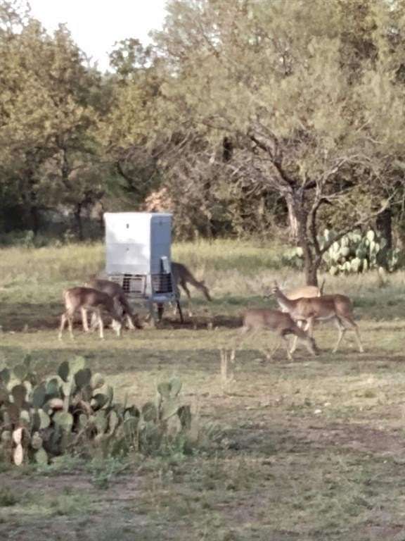 111 Acres of Recreational Land for Sale in Brady, Texas