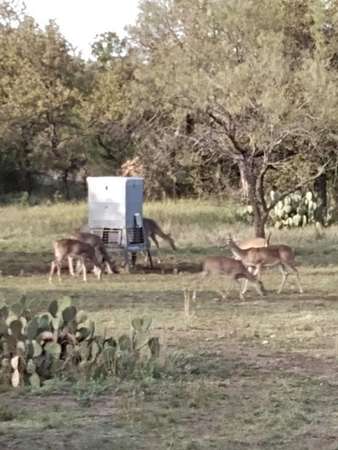 111 Acres of Recreational Land for Sale in Brady, Texas