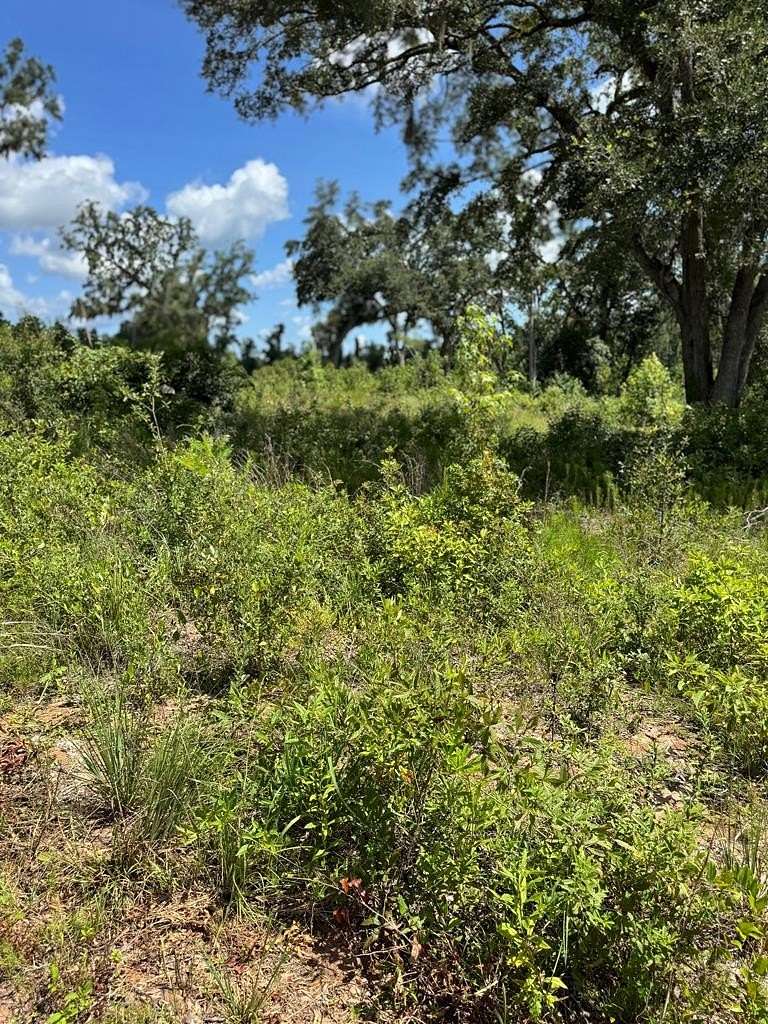13.7 Acres of Land for Sale in Valdosta, Georgia