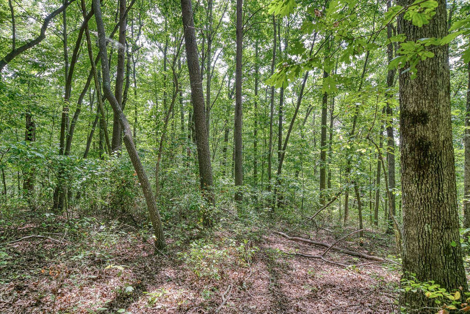 2 Acres of Residential Land for Sale in Monterey, Tennessee