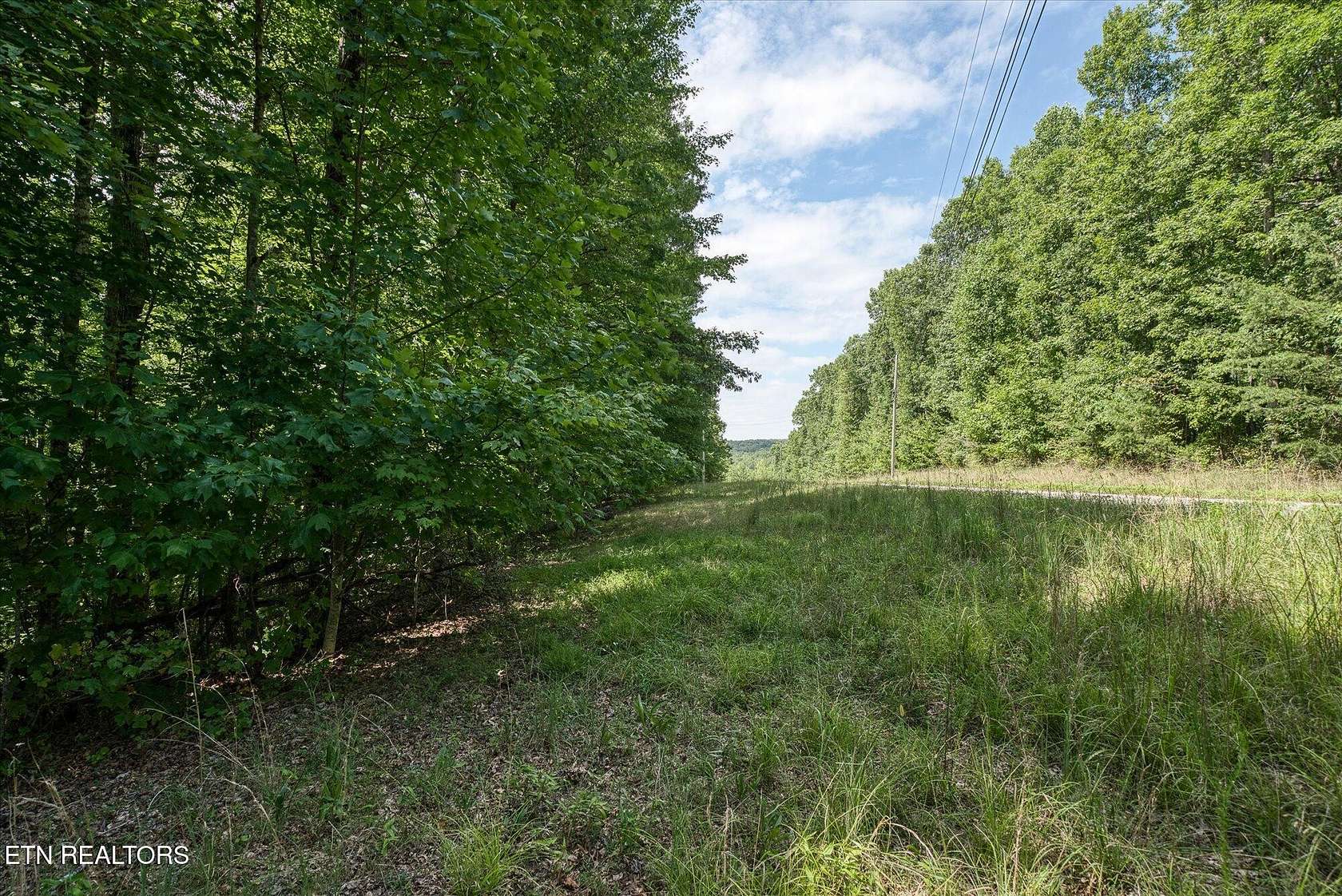 2 Acres of Residential Land for Sale in Monterey, Tennessee