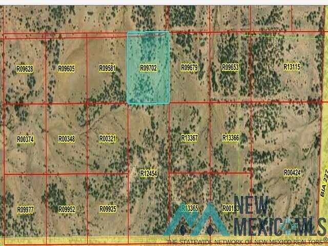 10 Acres of Land for Sale in Pinehill, New Mexico