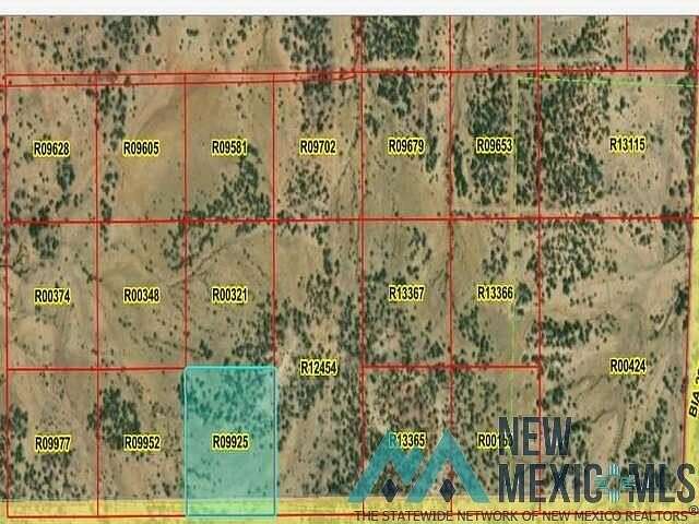 10 Acres of Land for Sale in Pinehill, New Mexico