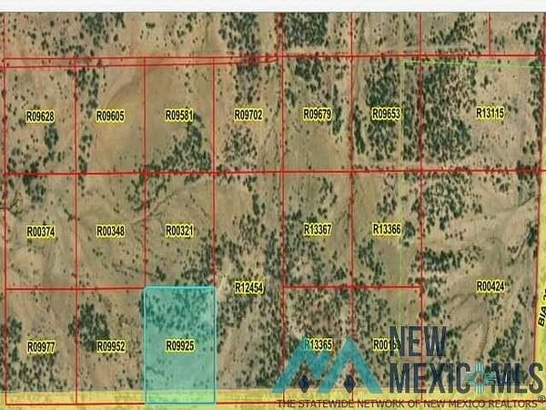 10 Acres of Land for Sale in Pinehill, New Mexico