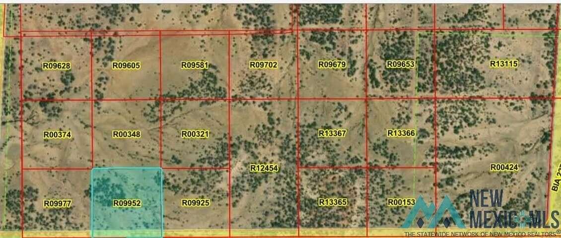 10 Acres of Land for Sale in Pinehill, New Mexico