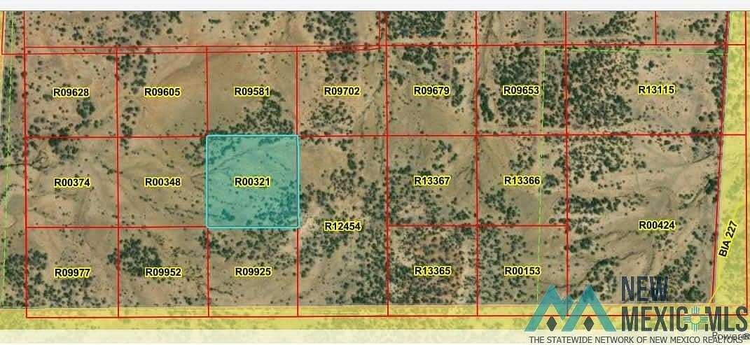 10 Acres of Land for Sale in Pinehill, New Mexico