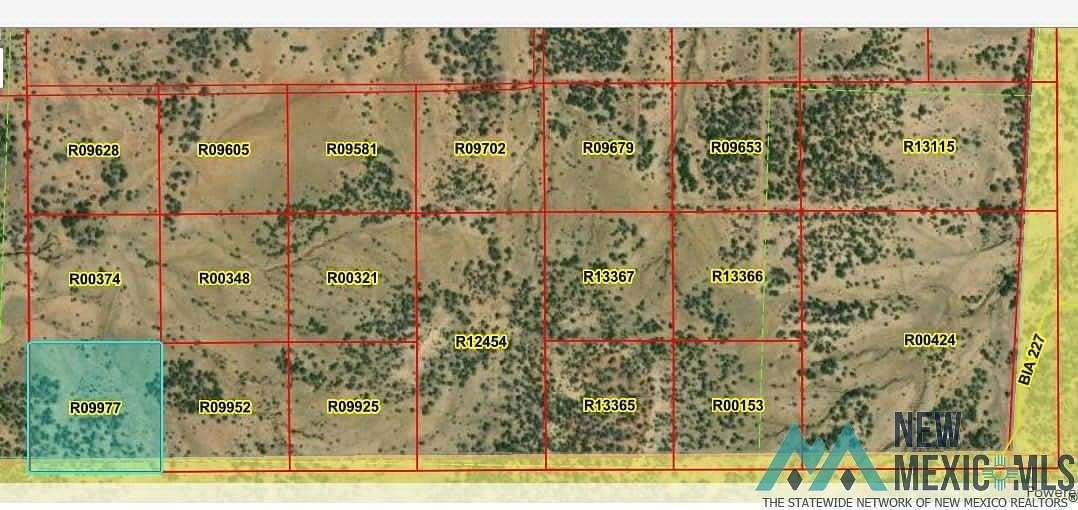 10.2 Acres of Land for Sale in Pinehill, New Mexico