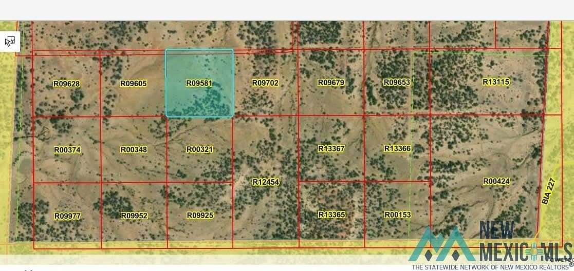 10 Acres of Land for Sale in Pinehill, New Mexico