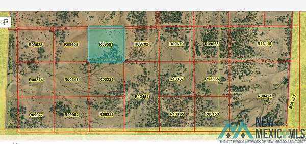 10 Acres of Land for Sale in Pinehill, New Mexico