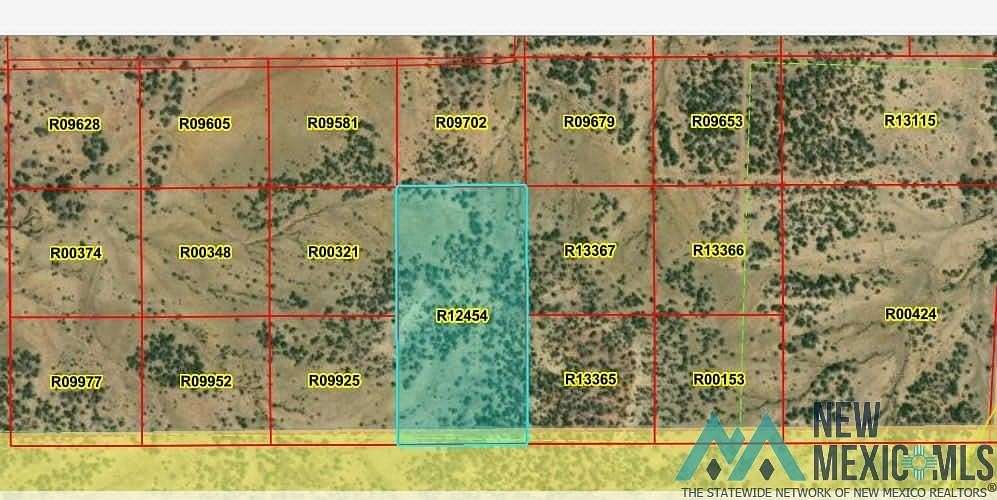 20 Acres of Recreational Land for Sale in Pinehill, New Mexico