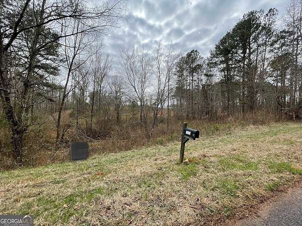 26.7 Acres of Agricultural Land for Sale in Woodbury, Georgia