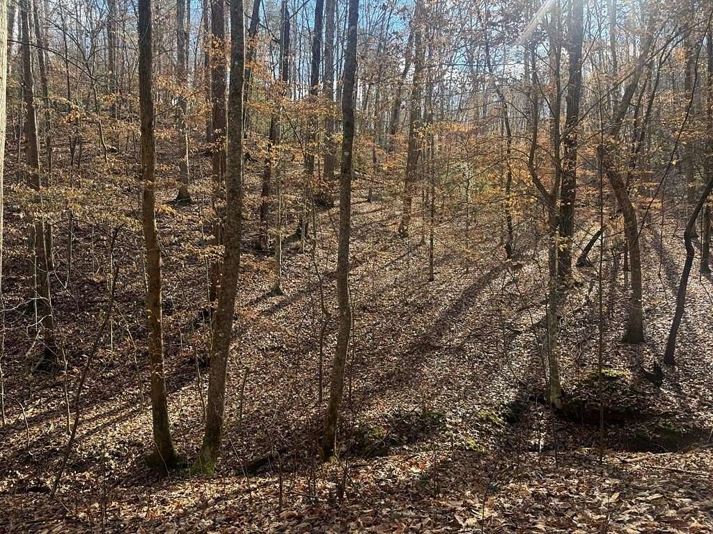 0.96 Acres of Residential Land for Sale in Ellijay, Georgia