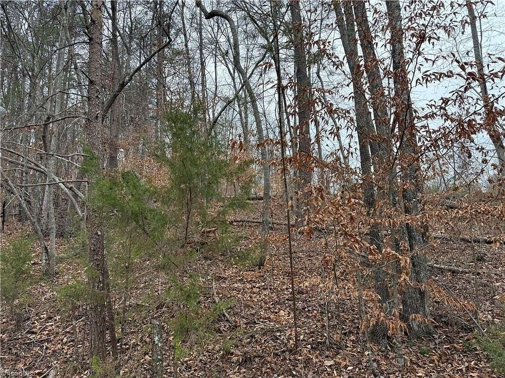 2 Acres of Residential Land for Sale in Pinnacle, North Carolina