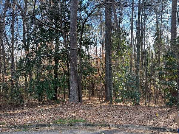 0.73 Acres of Land for Sale in Tuscaloosa, Alabama