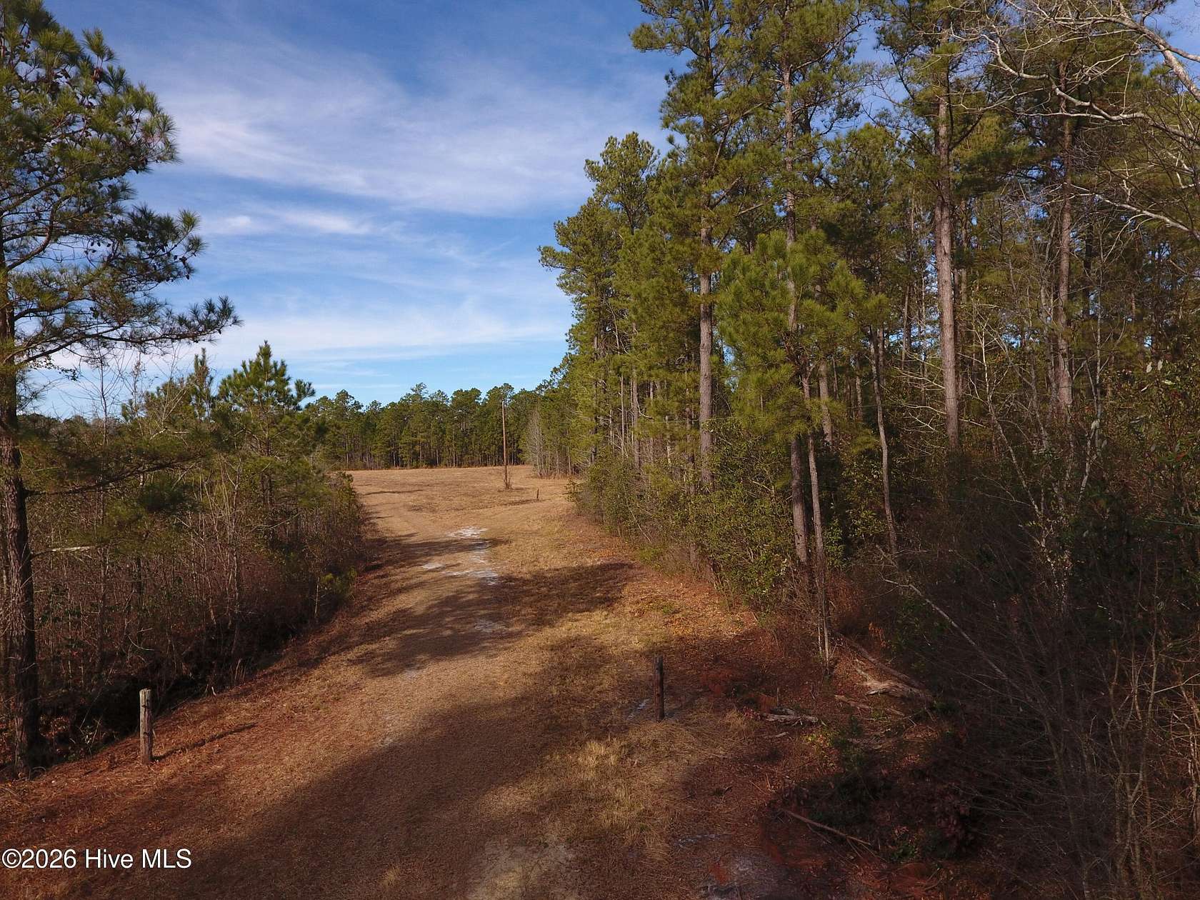 60.8 Acres of Land for Sale in Bolton, North Carolina
