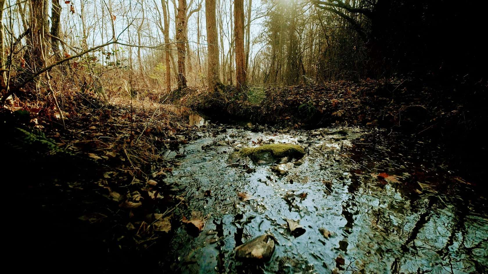 63.8 Acres of Recreational Land for Sale in New Canton, Virginia