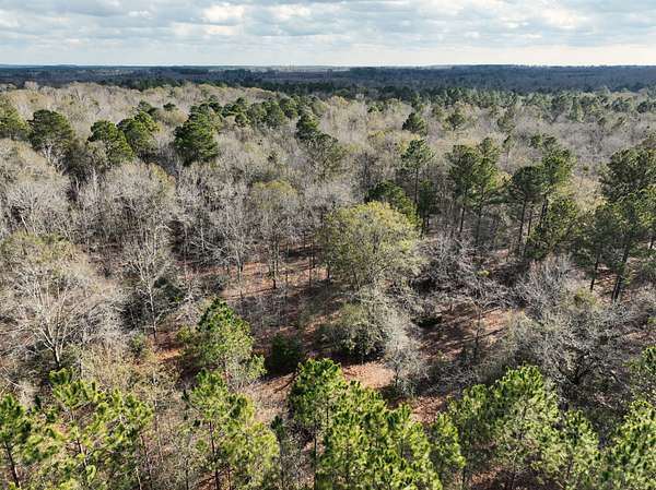114 Acres of Recreational Land for Sale in Milan, Georgia