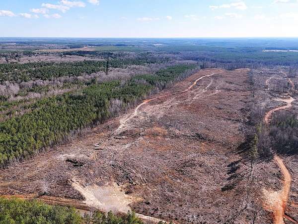 52.5 Acres of Land for Sale in DeWitt, Virginia