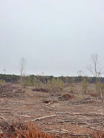 103 Acres of Recreational Land for Sale in Louann, Arkansas