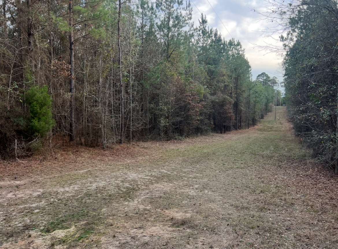 40 Acres of Land for Sale in Choudrant, Louisiana