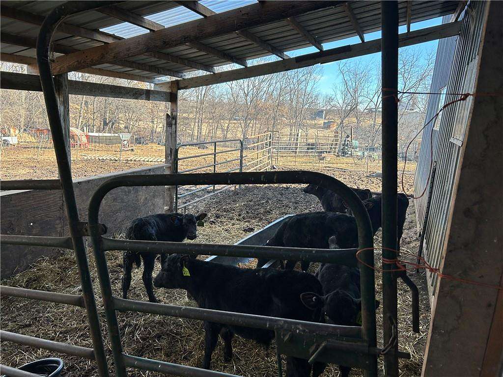 23 Acres of Agricultural Land for Sale in Ravenwood, Missouri