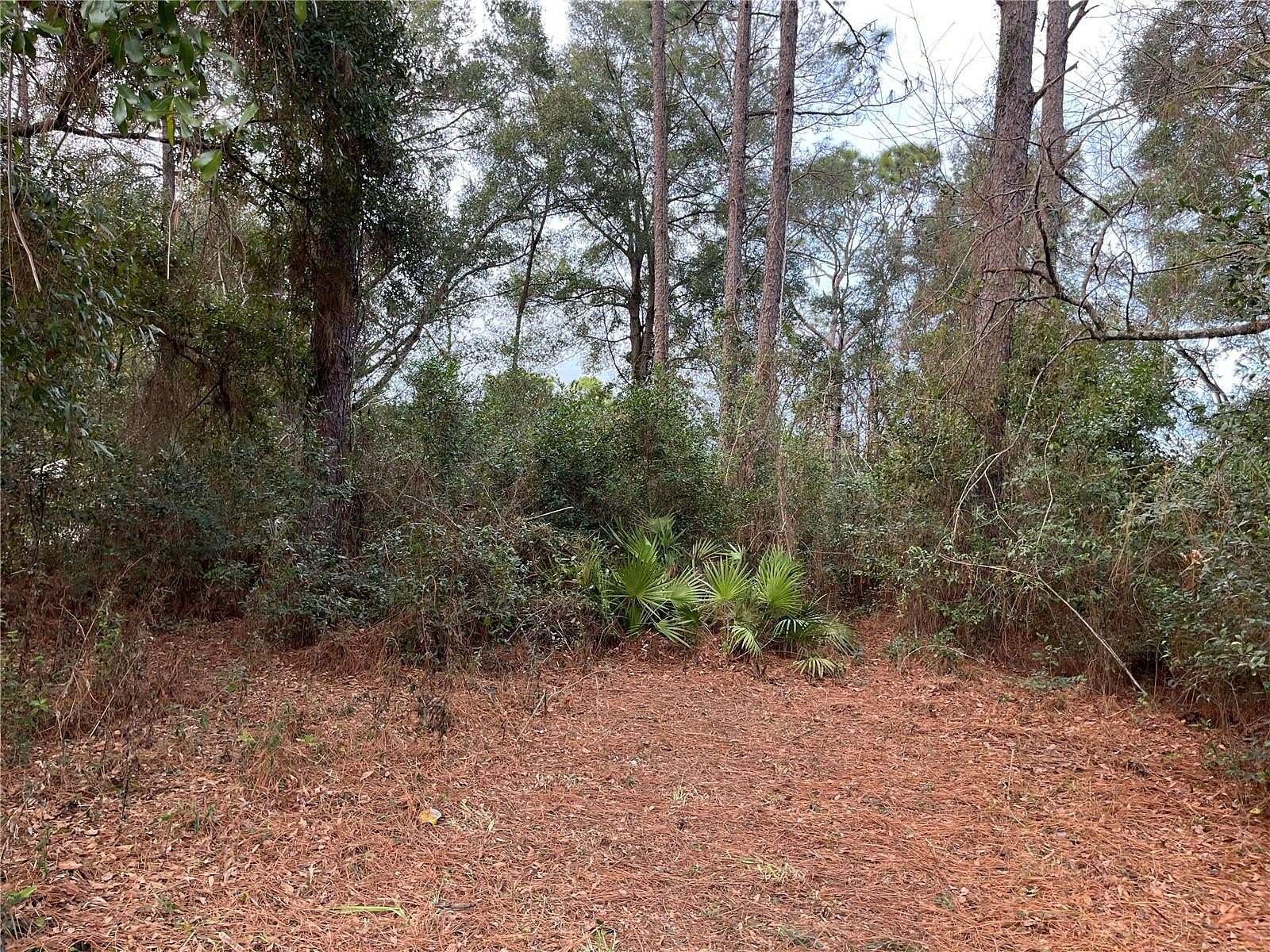 0.48 Acres of Residential Land for Sale in Ocala, Florida