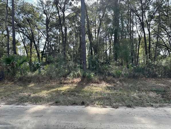 0.24 Acres of Residential Land for Sale in Belleview, Florida