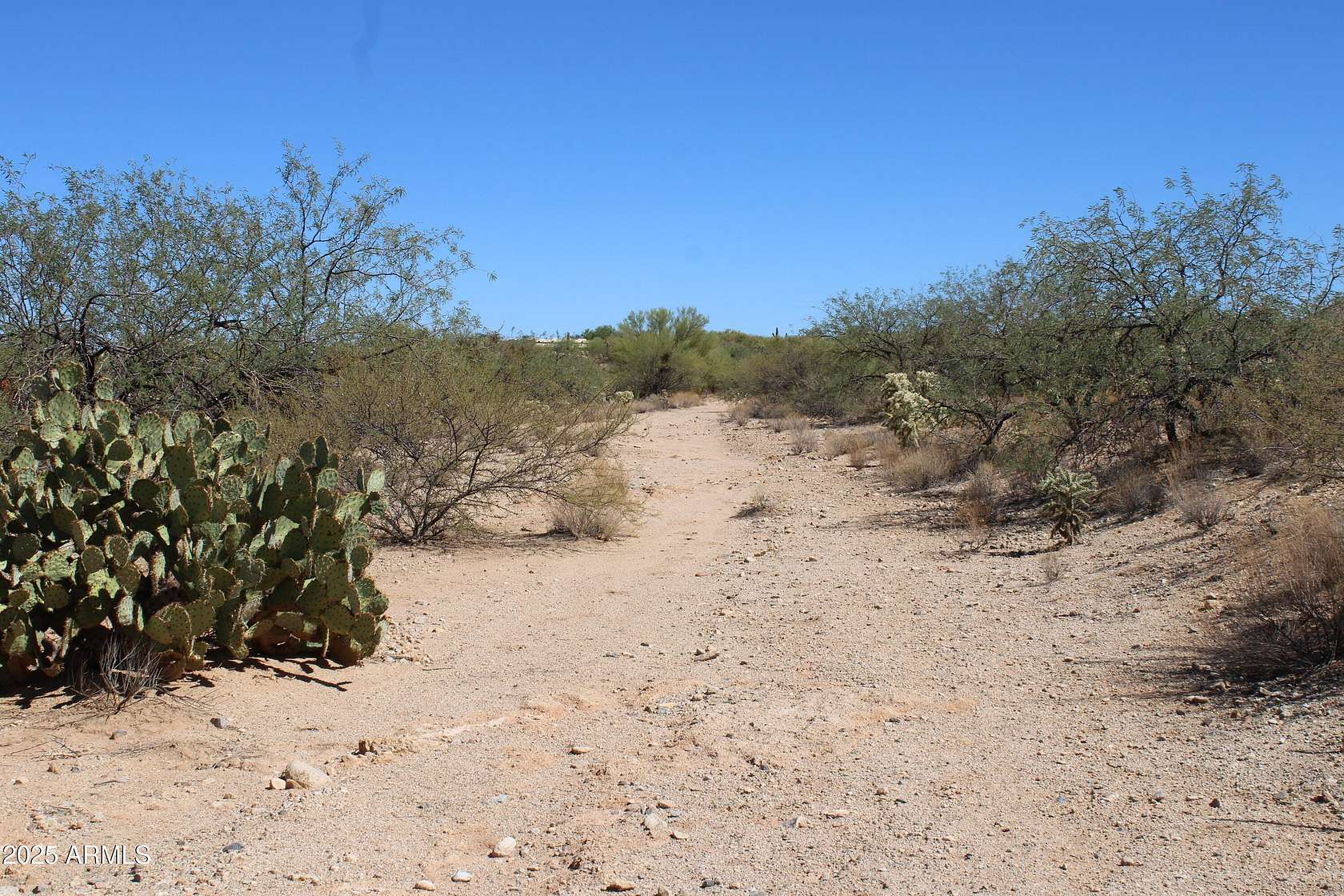 1.2 Acres of Land for Sale in Tucson, Arizona