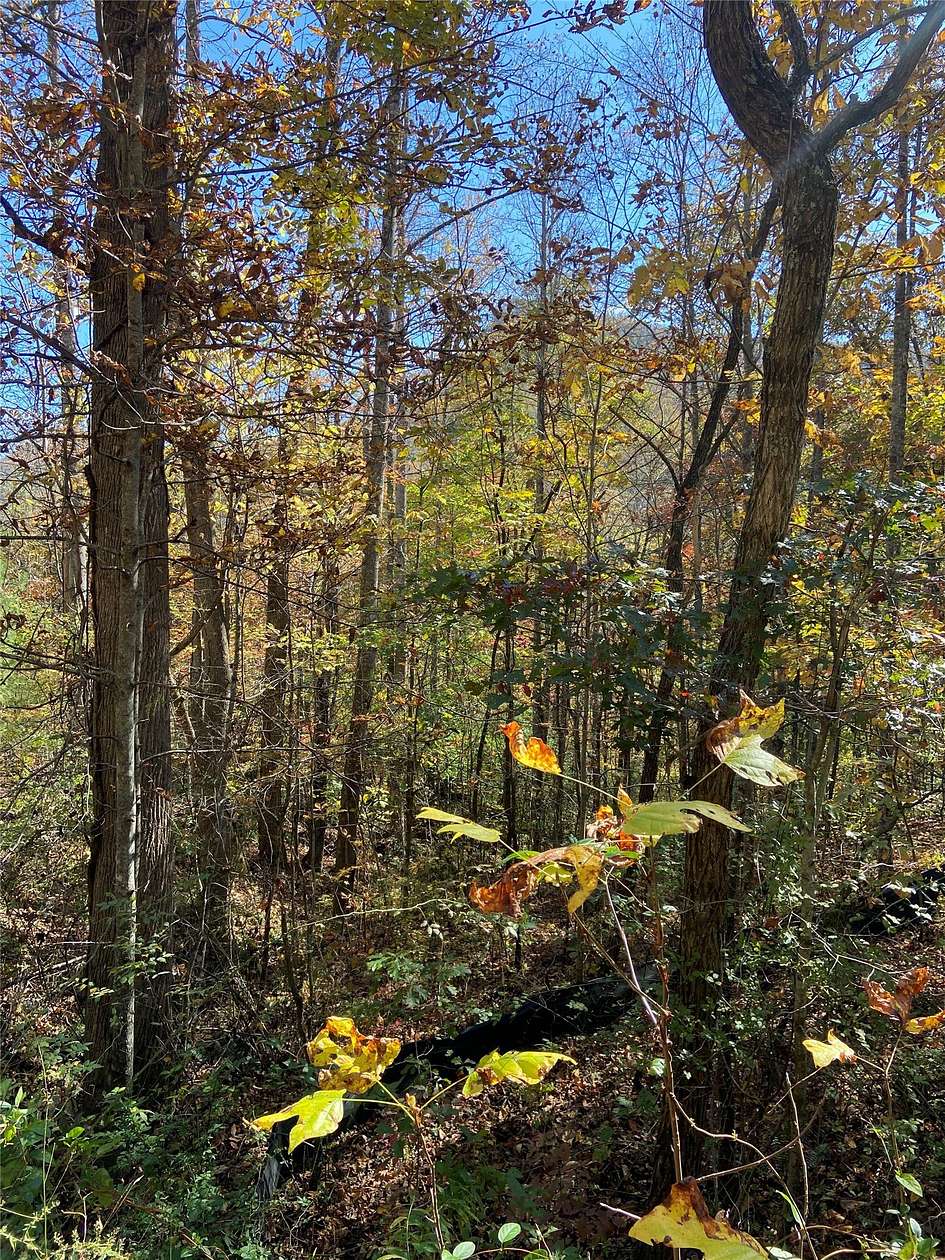1.88 Acres of Land for Sale in Tuckasegee, North Carolina