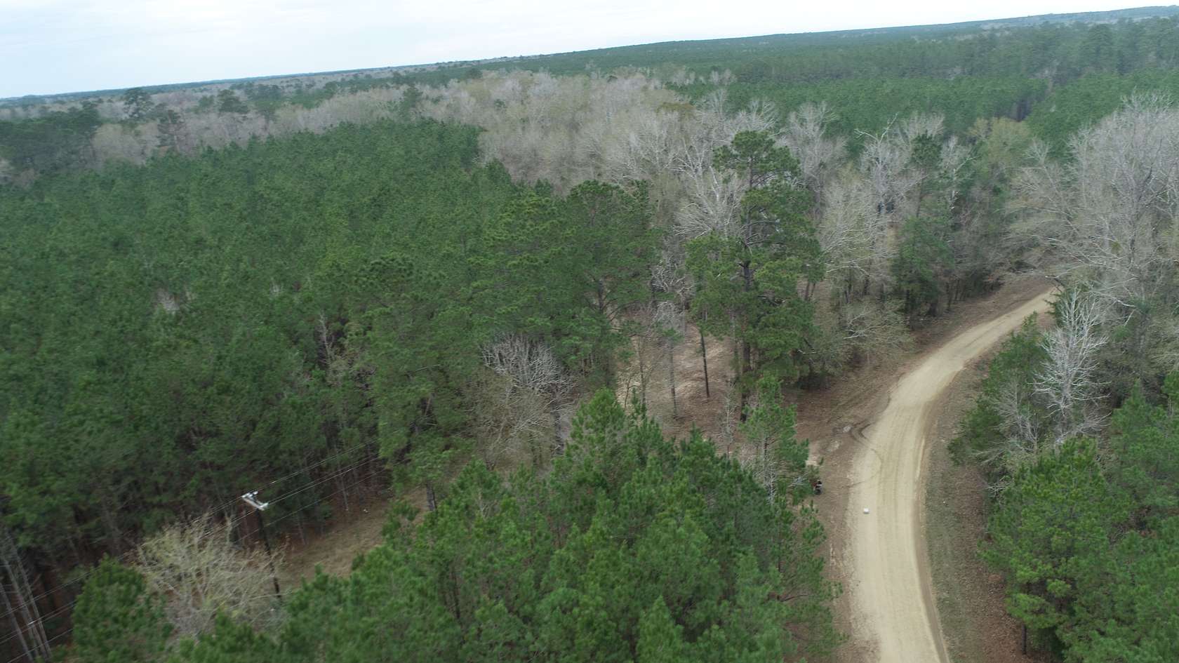 148 Acres of Recreational Land for Sale in Kirbyville, Texas