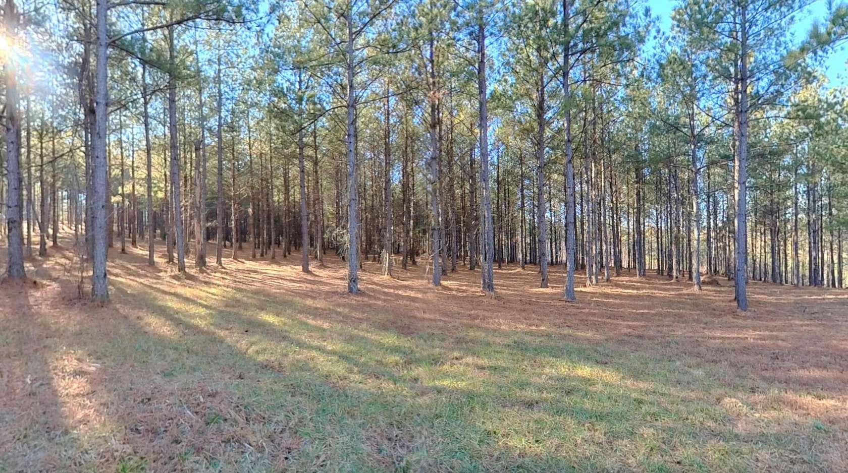 5 Acres of Residential Land for Sale in Soddy-Daisy, Tennessee