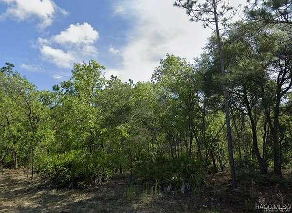 0.56 Acres of Residential Land for Sale in Citrus Springs, Florida