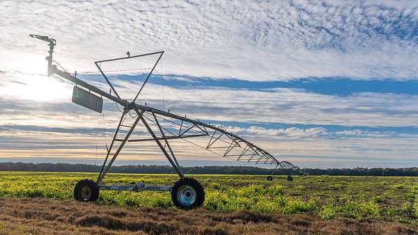 328 Acres of Land for Auction in Camilla, Georgia