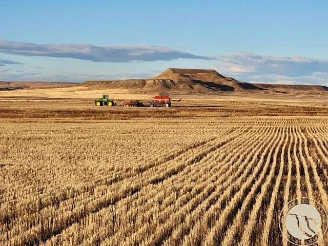 575 Acres of Agricultural Land for Sale in Rapelje, Montana