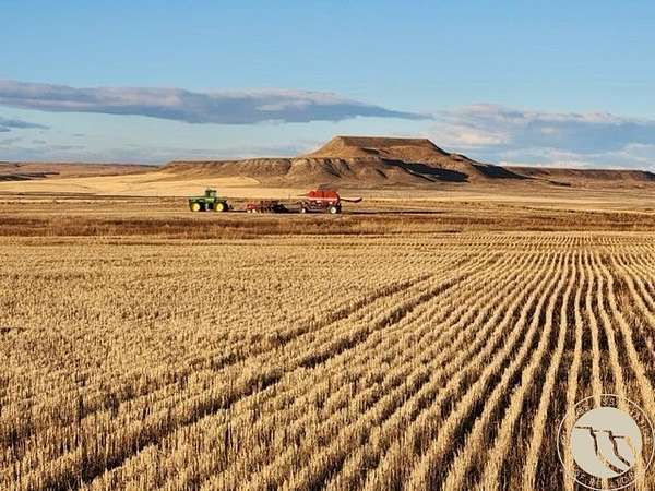 575 Acres of Agricultural Land for Sale in Rapelje, Montana