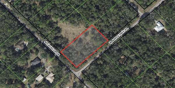 1.16 Acres of Residential Land for Sale in Crystal River, Florida