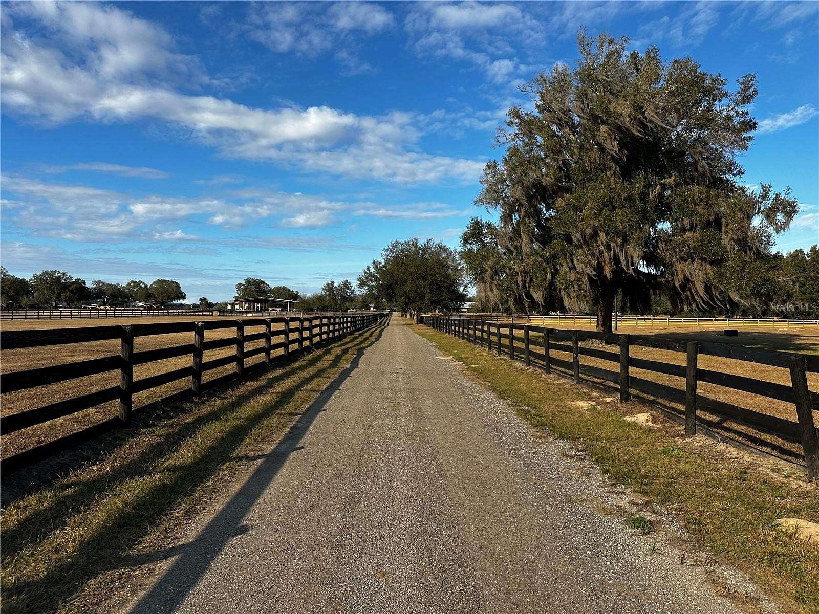 13 Acres of Land with Home for Sale in Summerfield, Florida