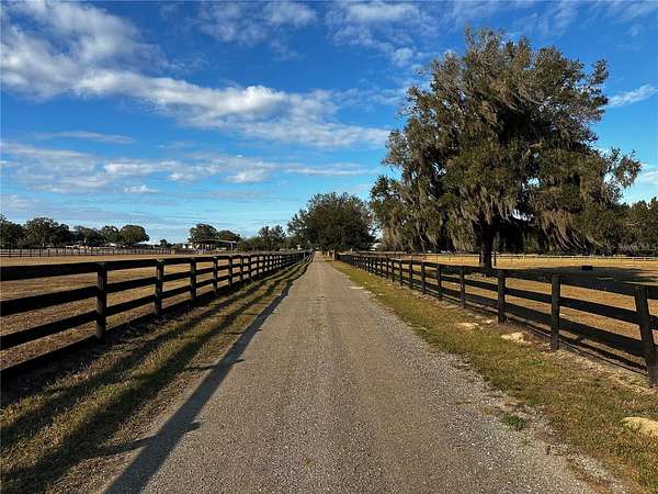 13 Acres of Land with Home for Sale in Summerfield, Florida