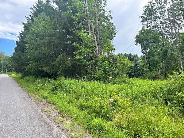 5 Acres of Land for Sale in Unadilla, New York