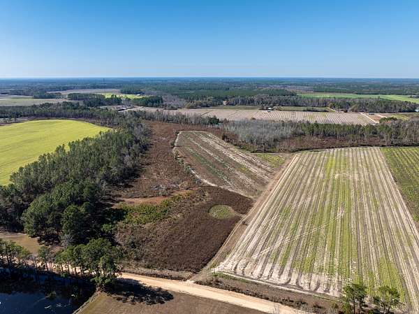 38 Acres of Agricultural Land for Auction in Nashville, Georgia