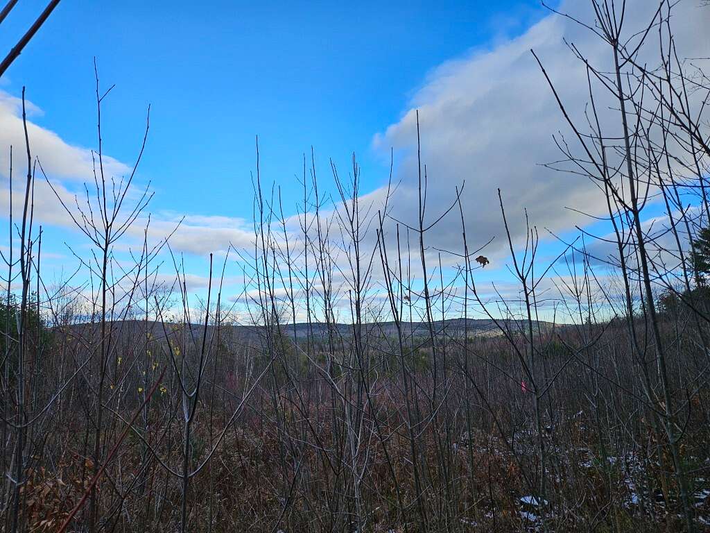 15 Acres of Land for Sale in Sweden, Maine