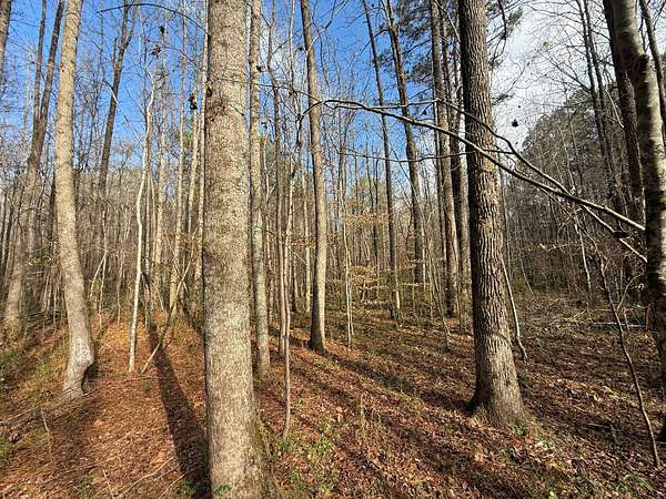 104 Acres of Recreational Land for Sale in Eldridge, Alabama
