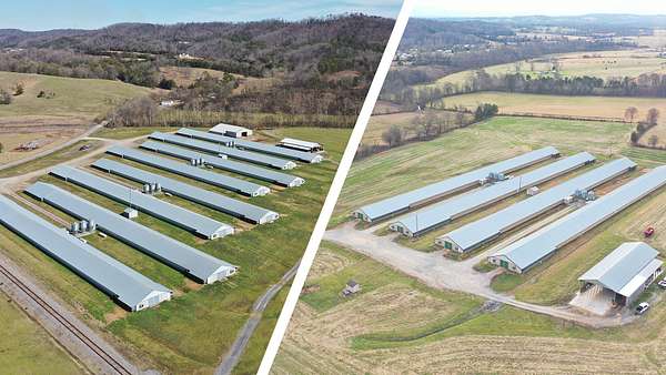 40 Acres of Agricultural Land for Sale in Whitesburg, Tennessee