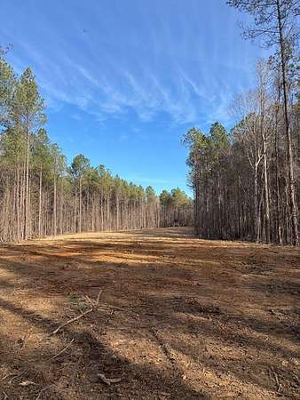 80 Acres of Recreational Land for Sale in Calhoun City, Mississippi