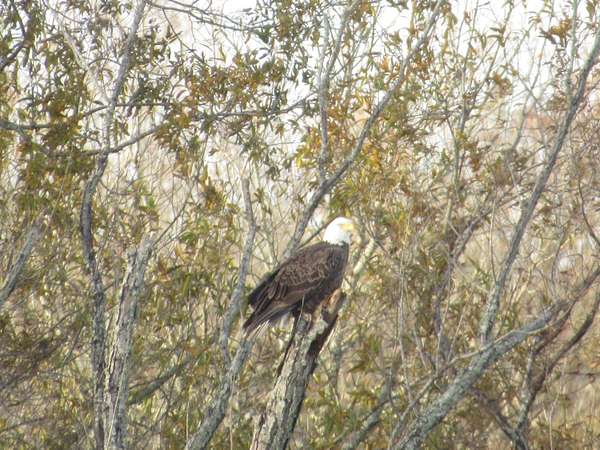 2.8 Acres of Land for Sale in Columbus, Mississippi
