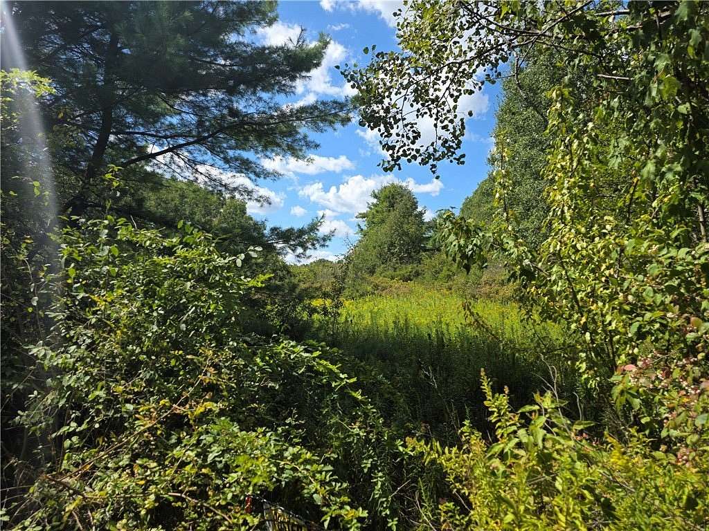 89.3 Acres of Recreational Land for Sale in Painted Post, New York